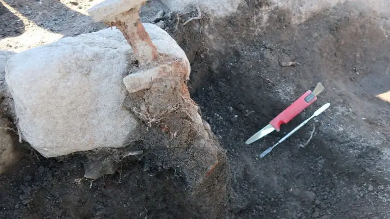 Különös helyzetben tették a sírba ezeket a viking kardokat