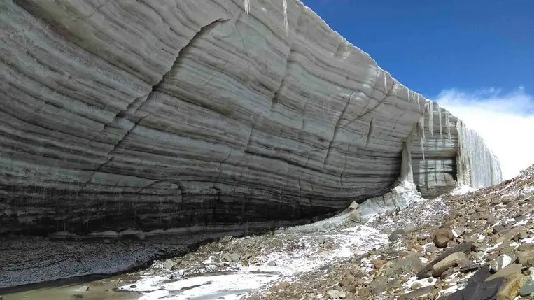 Kiderült, miért maradtak életben a természet „hűtőkamrájából” előkerült organizmusok