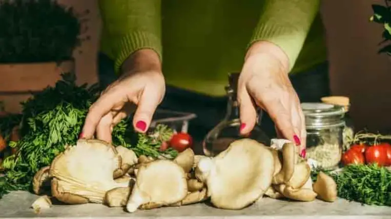 Mutatjuk, miért szuperétel a laskagomba