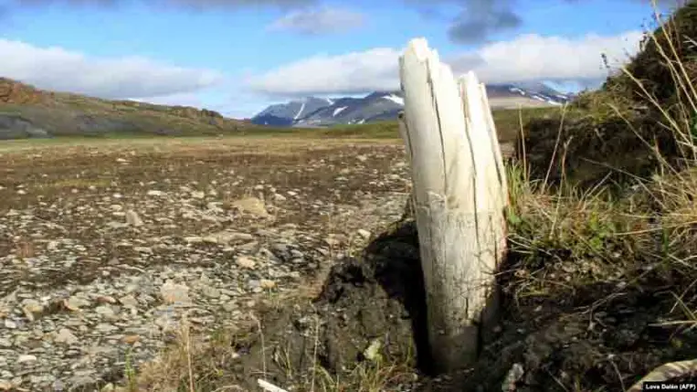 48 ezer éves félelmetes kórokozót ébresztettek fel