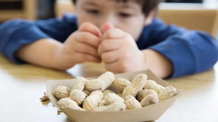 Ezzel a trükkel erősíthetjük a bél-mikrobiom komplex védelmi szerepét