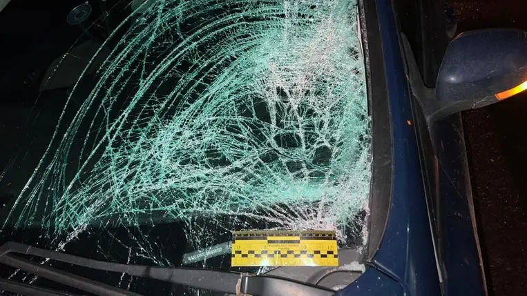 Kárpátalján életét vesztette egy 37 éves gyalogos nő. Fotó: Nemzeti Rendőrség