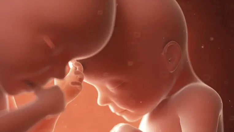 Úgy tűnik, a magzatoknak nincsenek bélbaktériumai