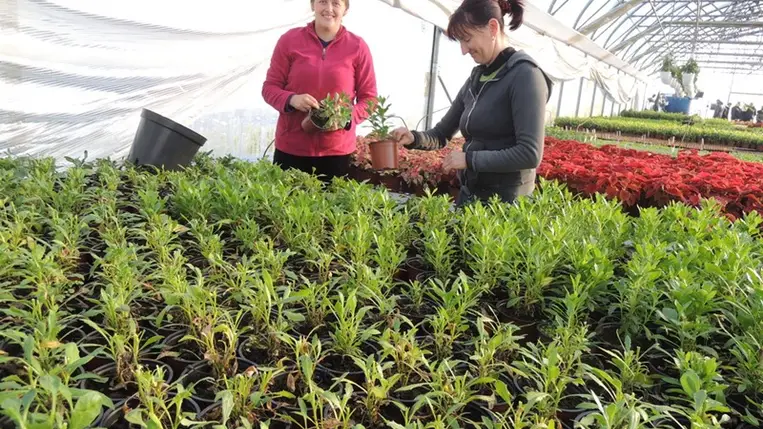 Számvetés – 2022 (2.) - Maximális alkalmazkodóképességre törekszünk