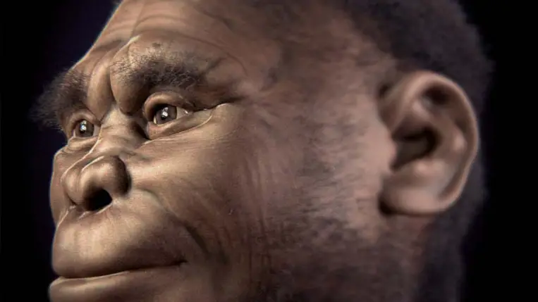 Elveszett emberfajt találhattak egy szigeten