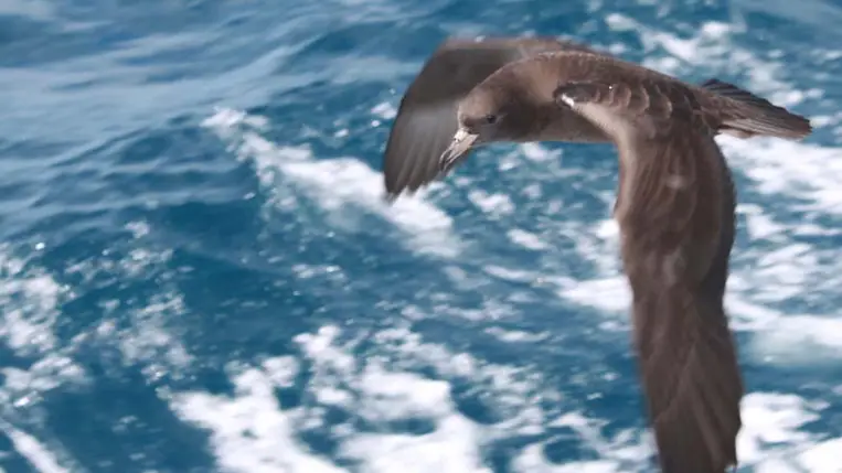 Ijesztő új betegség jelent meg, amit a műanyagok okoznak