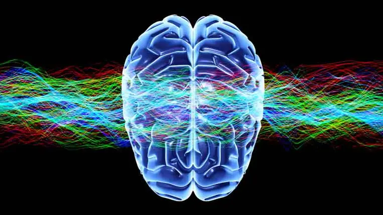 Rémisztő kutatás: saját agya hozhatja bajba az embert