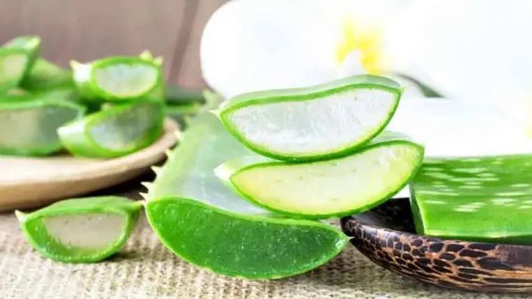 Ennyi mindenre jó az aloe vera