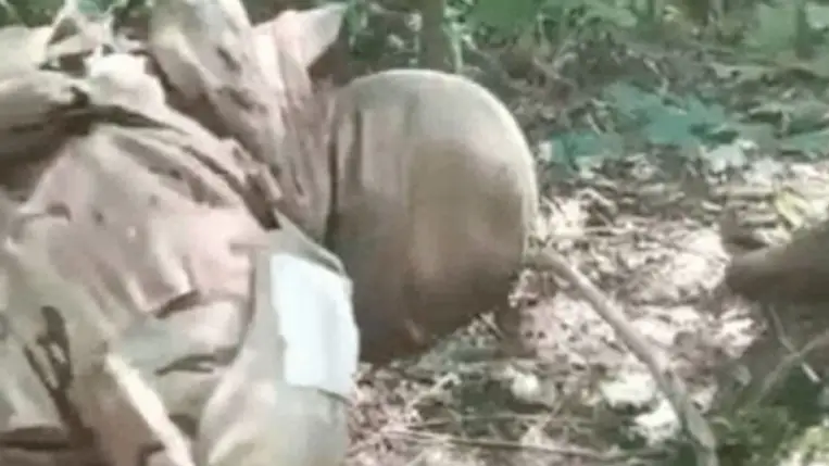 Az orosz katonák brutálisan lefejeztek egy ukrán foglyot. Fotó: Unian