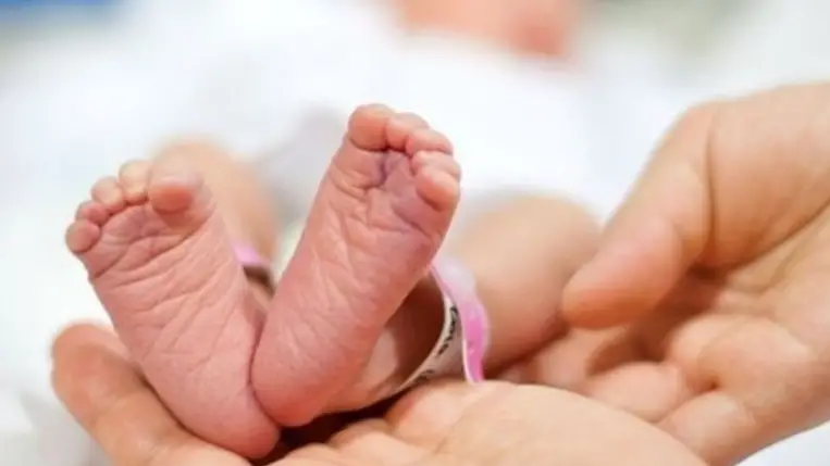 Újszülött. Illusztráció