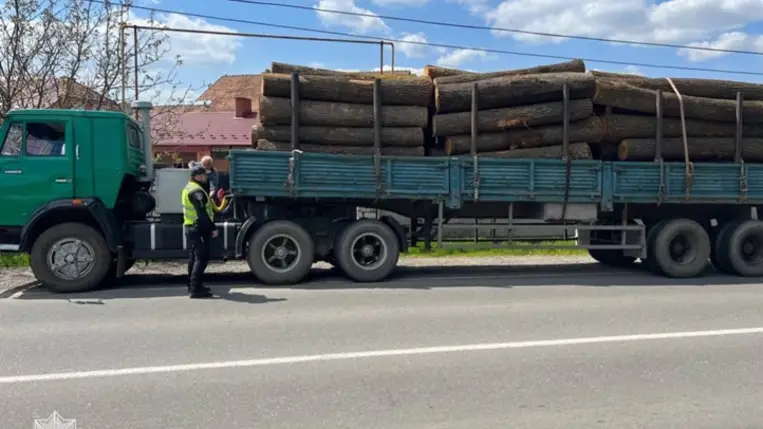 Illegális rönkfa szállítmánnyal buktak le Kárpátalján. Fotó: Kárpátaljai Járőrszolgálat