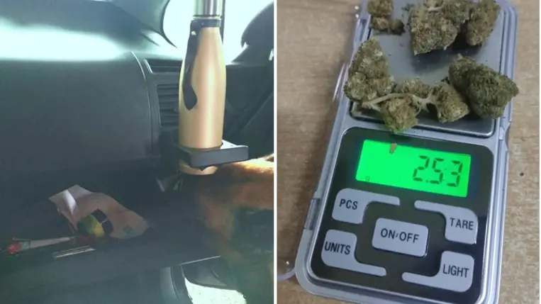 A kárpátaljai vámosok szolgálati kutyája kannabiszt szagolt ki egy szlovák állampolgár személygépkocsijában. Fotó: Kárpátaljai Vámhivatal