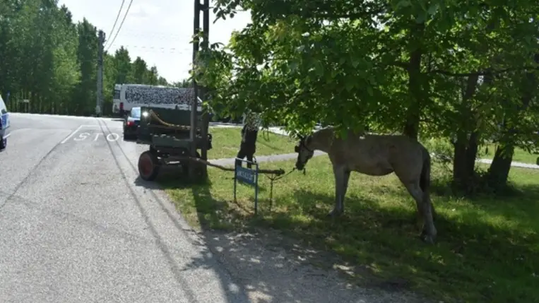 Villanyoszlopnak ütközött a lovaskocsi. Fotó: Police.hu