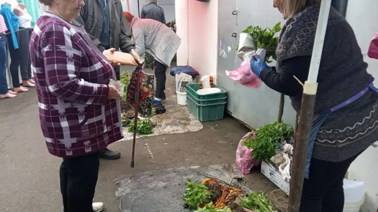 Ideálisan alakul a palántaszezon. Fotó: Kárpátinfo/Kovács Elemér