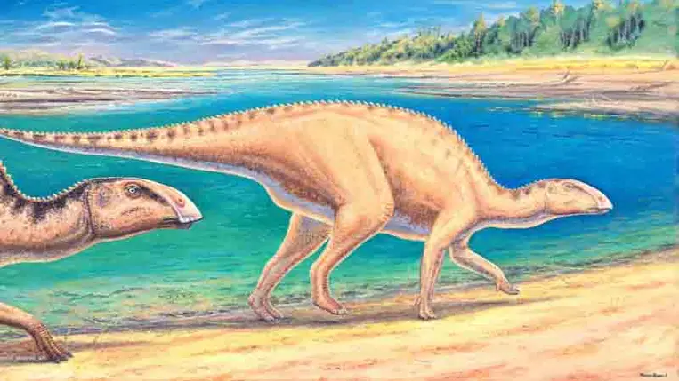 Titokzatos dinoszauruszleletet találtak