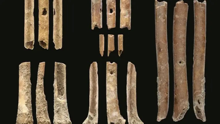 Csontfurulyákat használtak a ragadozómadarak hívására