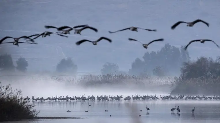 Már egy rövid hőhullám is megváltoztathatja a vízi ökoszisztémákat