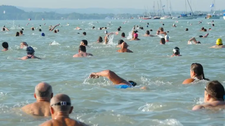 Úszás. Illusztráció