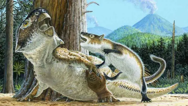 Dinoszaurusz elleni emlőstámadást megörökítő kövületet találtak