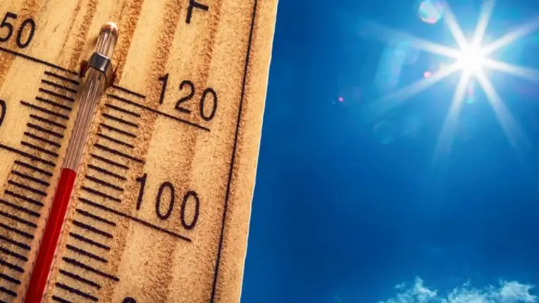 Kánikula. Illusztráció