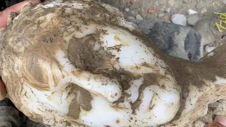 Díszes márványfej rejtőzött a római tér alatt