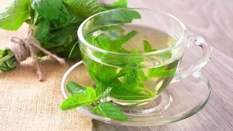 Ennyi mindenre jó a menta
