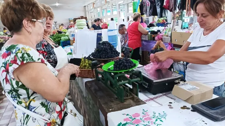 Csemegeszőlő-termesztés: egy kárpátaljai sikerágazat