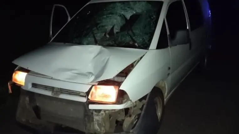 Meghalt egy elgázolt gyalogos Kárpátalján. Fotó: Nemzeti Rendőrség