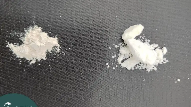 Mintegy 480 milliárd forint értékű kábítószert foglalt le a rendőrség a NAV segítségével. Fotó: NAV