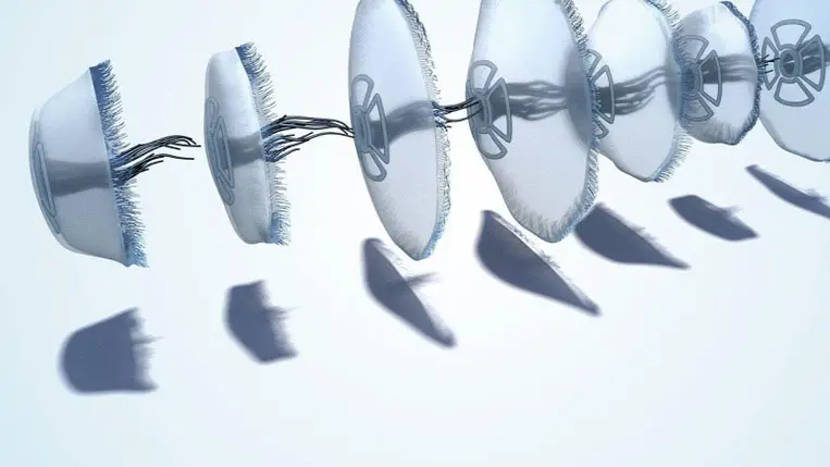 Mi a közös egy medúzában, egy macskában, és egy asztronautában? A matek.