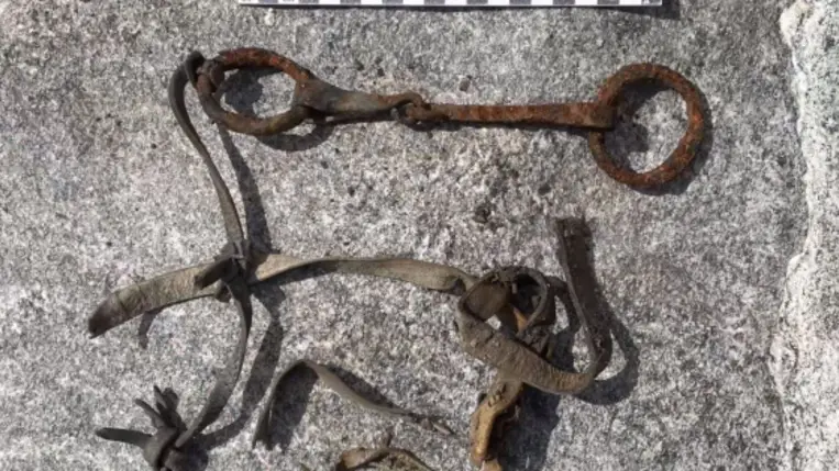Ezer évig volt jégbe fagyva, mielőtt rábukkantak