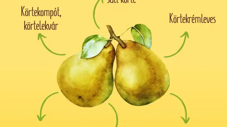 Itt a körteszezon, így fogyaszd ezt a sokoldalú gyümölcsöt