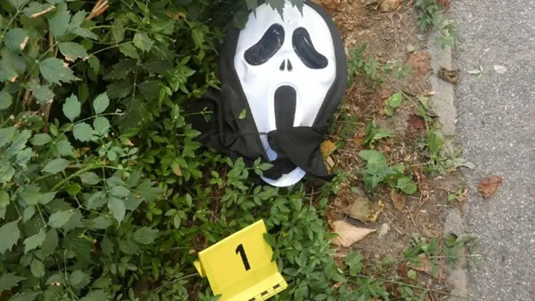 Letartóztatták a 19 éves sikolymaszkos betörőt. Fotó: police.hu