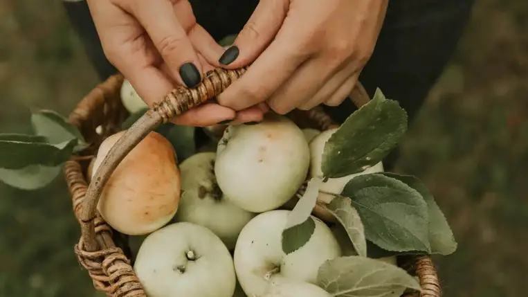  Így tárold az almát, hogy hónapokig friss és ropogós maradjon 