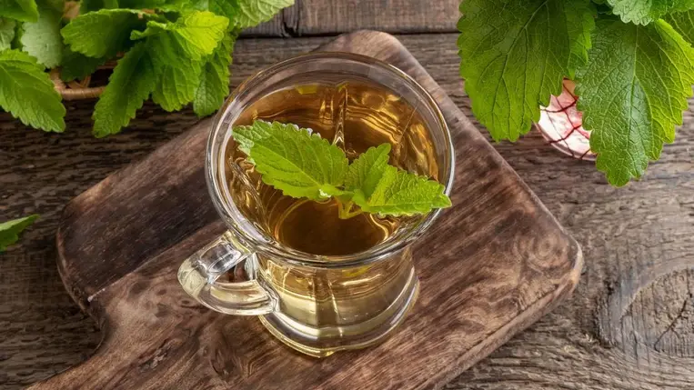 Enyhíti a feszítő puffadást, elősegíti a nyugodt alvást: a citromfűtea 4 áldásos hatása