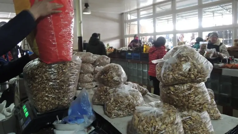 Dióbélfelvásárlás. Mit hozhat a jövő? - Ültessünk-e diófát, vagy a meglévőket is vágjuk ki?