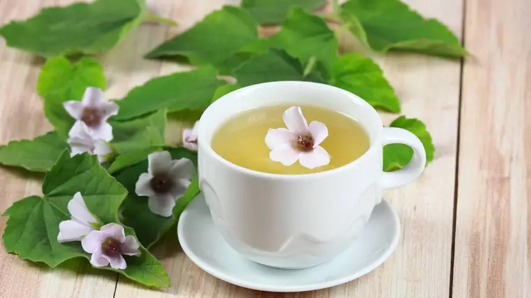 8 erős tisztító gyógytea, ami segíti a méregtelenítést - A májat is védik