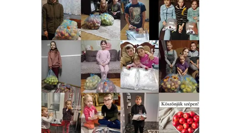 Alma és almalé a KMNE tagcsaládjainak - Egészséges adventi ajándék