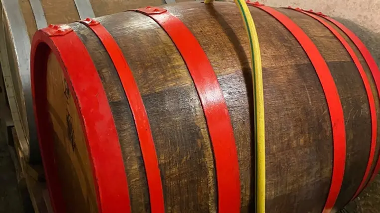 Biológiai almasavbontás. Illusztráció