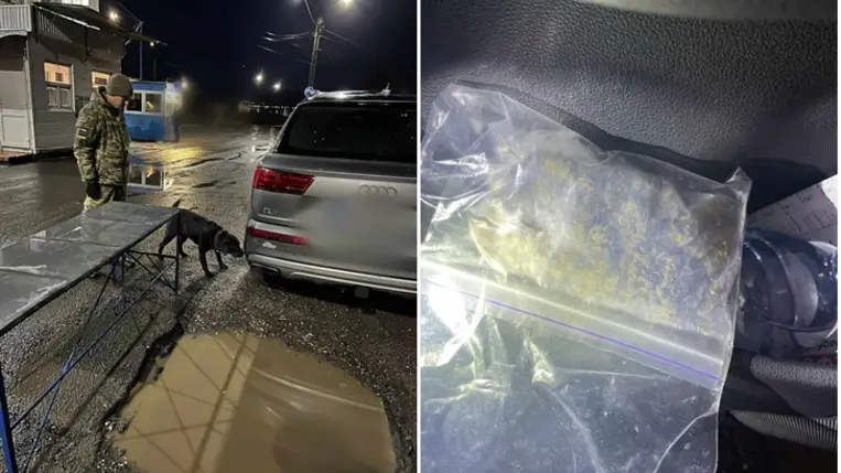 Marihuánát találtak az asztélyi határátkelőhelyen az ukrán vámosok. Fotó: Ukrán Állami Határőrszolgálat