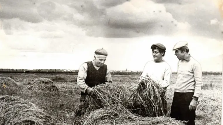 Kárpátaljai magyar anekdotakincs - Gizike jó lány… A fotó illusztráció. Kolhozidők...
