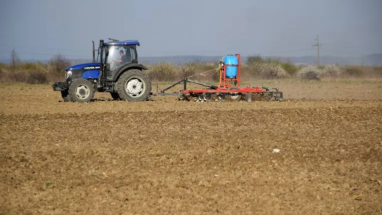 Merre tovább szántóföldi növénytermesztők? - A szója lesz a nyerő?Fotó:Kárpátinfo/Kovács Elemér
