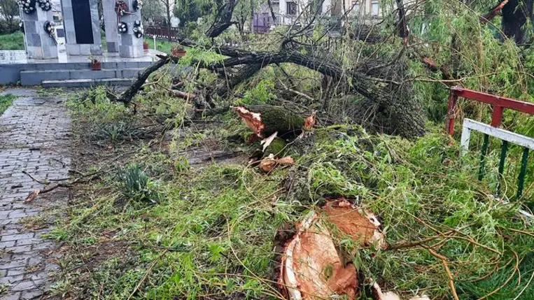 Viharkárok Badalóban