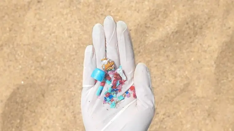 Sokkoló: a mikroműanyagoknak köze lehet a gyulladásos bélbetegséghez 