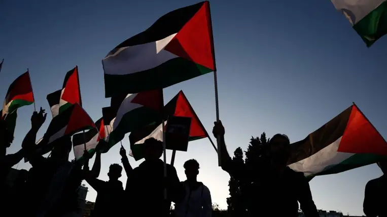 Palesztinpárti tüntetés. Illusztráció
