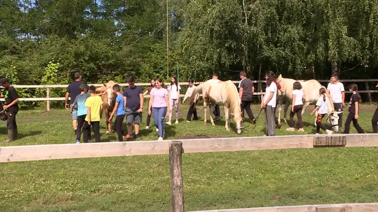 Lovastábor a Kárpátaljai Magyar Nagycsaládosok Egyesülete szervezésében - Nyeregbe, gyerek!  Fotó: Kárpátinfo/Kósa Eszter