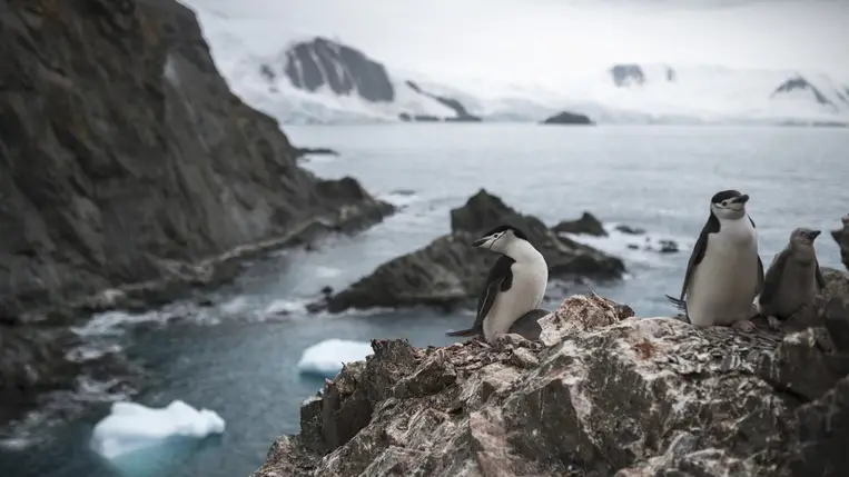 Még az Antarktiszon is rendkívül hosszú hőhullámot észleltek a mostani déli féltekei télben