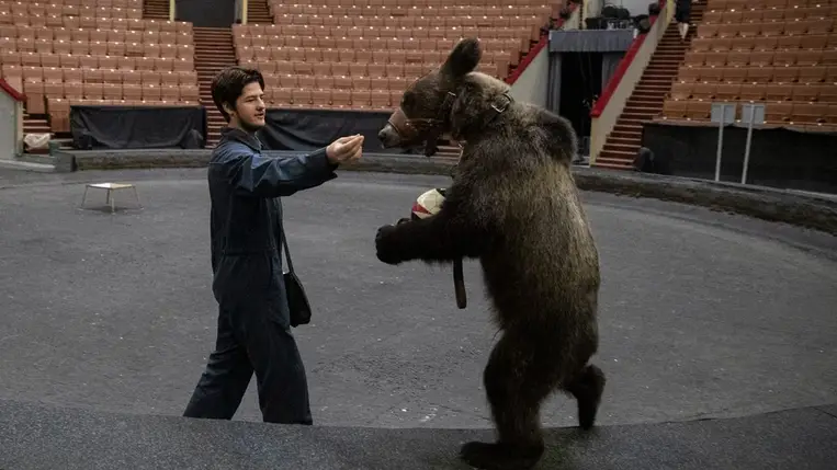 Döbbenetes jelenet: idomárjára támadt egy cirkuszi medve Oroszországban. Fotó: MTI/EPA/Szergej Ilnyickij