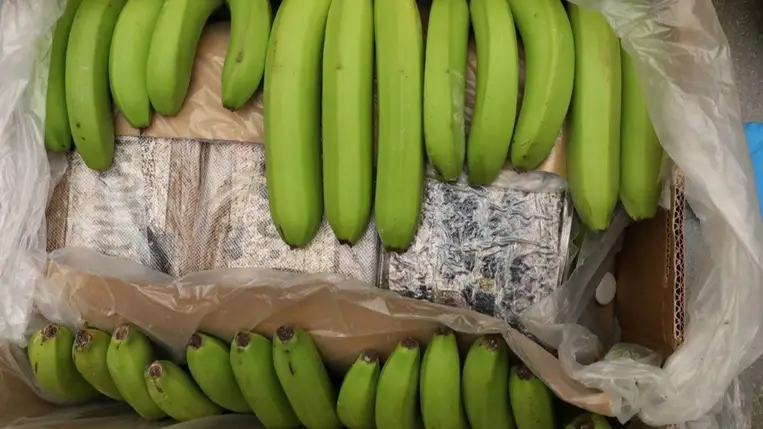 Egymillió euró értékű kokaint találtak banánok közé rejtve Görögországban