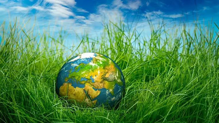 Életbe lépett az EU természet helyreállításáról szóló jogszabálya